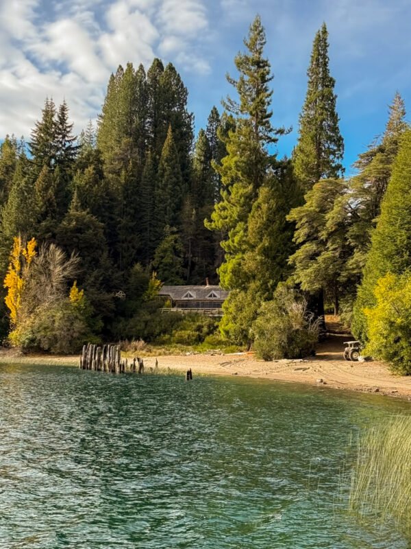 Disfrutá Puerto Blest y la Cascada Los Cántaros con traslado incluido - Imagen 3
