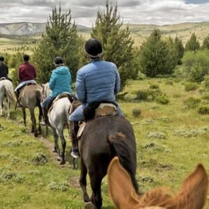 Cabalgata por el bosque de Cohiues
