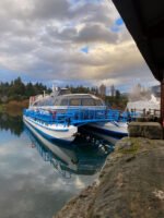 Descubrí la Naturaleza Mágica del Sur: Isla Victoria y Bosque de Arrayanes-con traslado