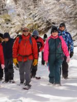 Excursión a Roca Negra: travesía en 4x4, caminata en la nieve y sabores regionales - Image 4