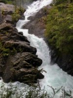 Disfrutá Puerto Blest y la Cascada Los Cántaros con traslado incluido - Imagen 3