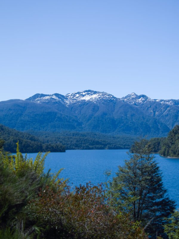 San Martín de los Andes por 7 Lagos: la excursión que no te podés perder en la Patagonia - Imagen 3