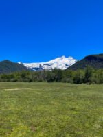 Excursión al Cerro Tronador: naturaleza imponente y un día lleno de paisajes - Imagen 2
