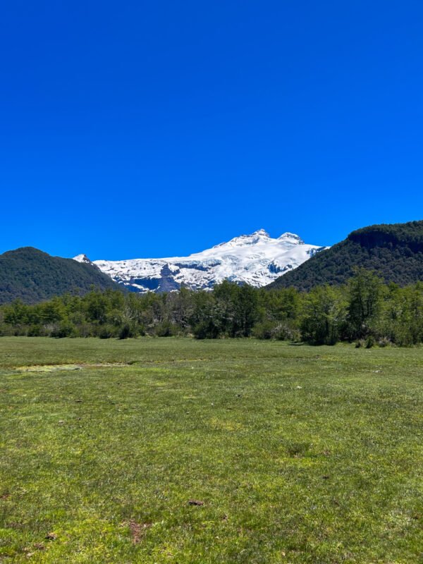 Excursión al Cerro Tronador: naturaleza imponente y un día lleno de paisajes - Imagen 2