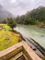 Puerto Blest y Lago Frías sin traslado – Salida desde Puerto Pañuelo - Imagen 2