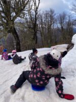 Piedras Blancas: juegos en la nieve, trineos y 4 ascensos en aerosilla con traslado incluido - Image 2