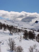 Traslado Familiar al Cerro Catedral – La forma más cómoda de llegar a la nieve en Bariloche - Image 3