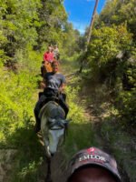 Cabalgata por el bosque de cohiues: paseo a caballo en la naturaleza de Bariloche - Imagen 2