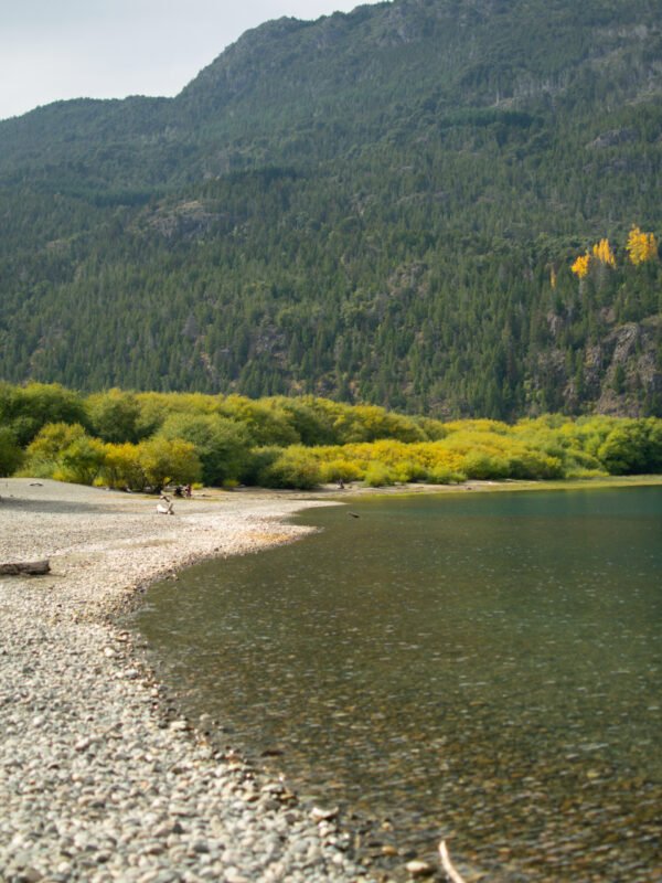 Excursión a El Bolsón y Lago Puelo: tradición, naturaleza y cultura patagónica para toda la familia - Imagen 4