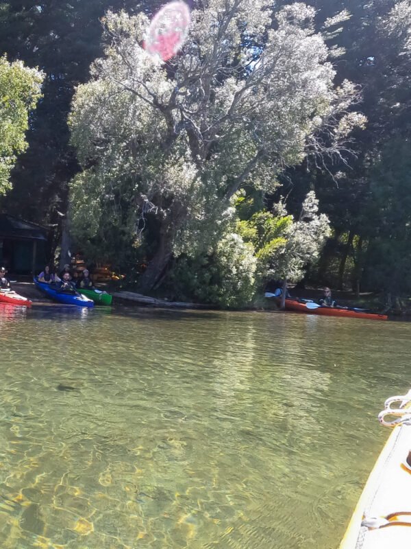 Travesía en Kayak por el Lago Gutiérrez - Imagen 4
