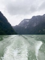 Disfrutá Puerto Blest y la Cascada Los Cántaros con traslado incluido - Imagen 2