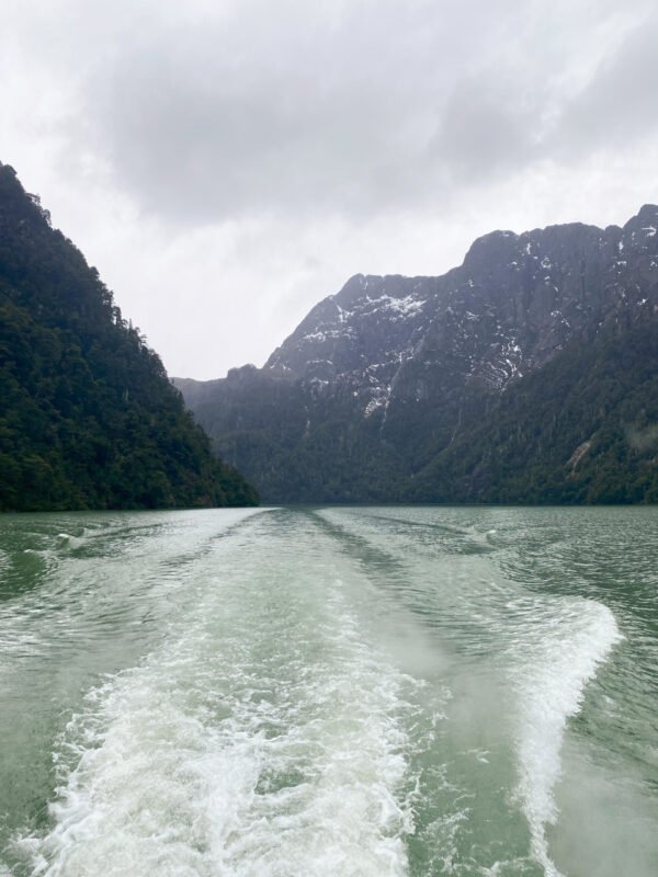 Disfrutá Puerto Blest y la Cascada Los Cántaros con traslado incluido - Imagen 2