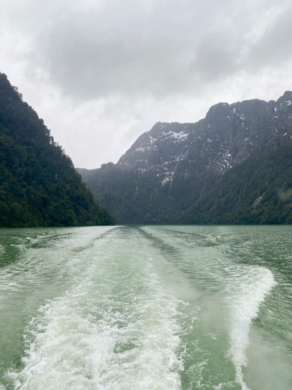 Puerto Blest y Lago Frías sin traslado – Salida desde Puerto Pañuelo - Imagen 3