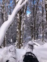 Piedras Blancas: juegos en la nieve, trineos y 4 ascensos en aerosilla con traslado incluido - Image 3