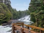Paseo a Puerto Blest y Cascada Los Cántaros sin traslado - Imagem 2