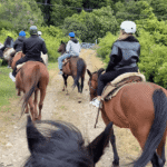 Cabalgata con vista al Cerro López-Aventura entre bosques y miradores del Circuito Chico
