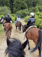 Cabalgata con vista al Cerro López-Aventura entre bosques y miradores del Circuito Chico