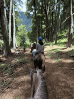 Cabalgata con vista al Cerro López-Aventura entre bosques y miradores del Circuito Chico - Imagen 2