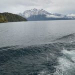 Isla Victoria e Bosque de Arrayanes - Um clássico patagônico para desfrutar com a família - Sem traslado