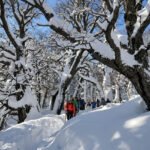 Caminhada até a Frozen Lagoon: uma aventura de inverno acessível para ser desfrutada em grupos