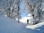 Excursión a Roca Negra: travesía en 4x4, caminata en la nieve y sabores regionales - Imagem 2