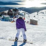 Seguro de Reprogramación