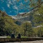 Cancellation Insurance