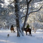 Cabalgata con vista al Cerro López-Aventura entre bosques y miradores del Circuito Chico