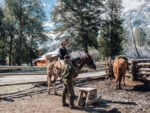 Cabalgata con vista al Cerro López-Aventura entre bosques y miradores del Circuito Chico - Imagen 2