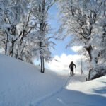 Excursión a Roca Negra: travesía en 4x4, caminata en la nieve y sabores regionales