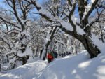 Caminata a la Laguna Congelada: una aventura invernal accesible y para disfrutar en grupo - Imagen 2